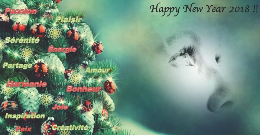 VOEUX 2017 CLARISSE NENARD