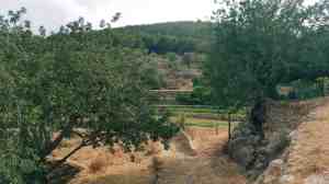 20170604_174437_resized