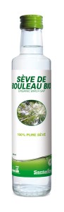 Seve_Bouleau250