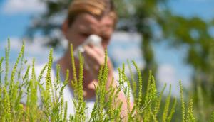 pollen-allergie-niesen