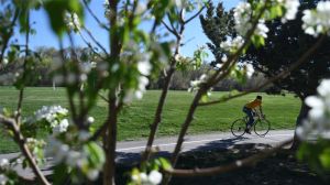 SW-042118-Big-D-Sports-Park-Pollen-01