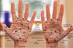 MainsZonesReflexologie