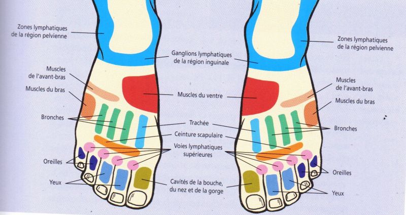 RELEXOLOGIEPLANTAIRE