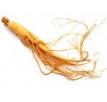 ginseng