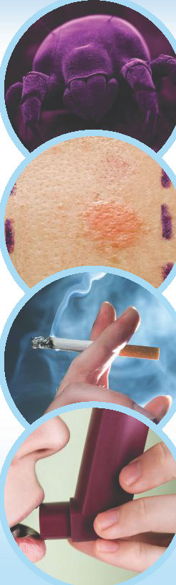 Asthme Fondation du souffle_Page_3